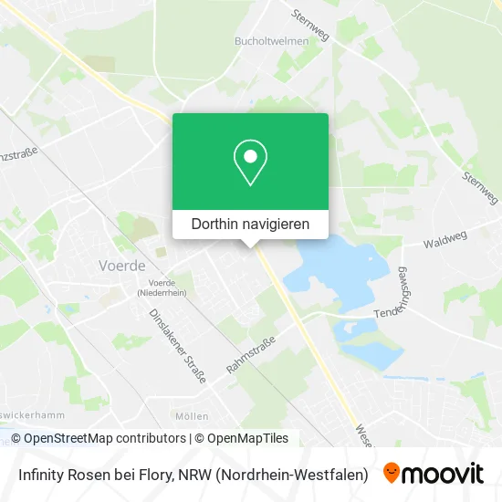 Infinity Rosen bei Flory Karte