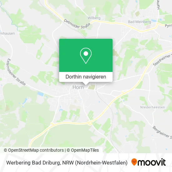 Werbering Bad Driburg Karte