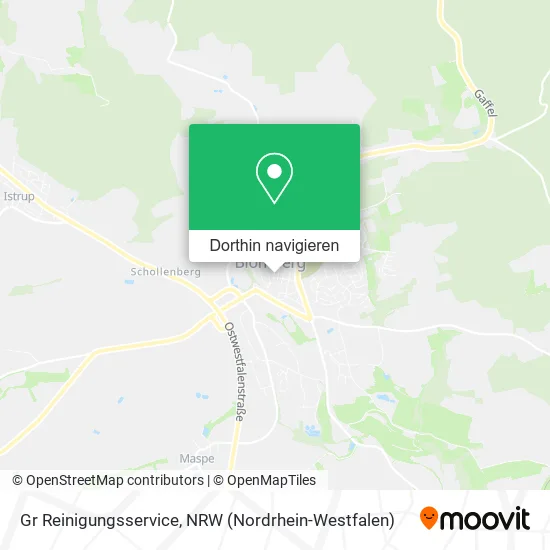 Gr Reinigungsservice Karte