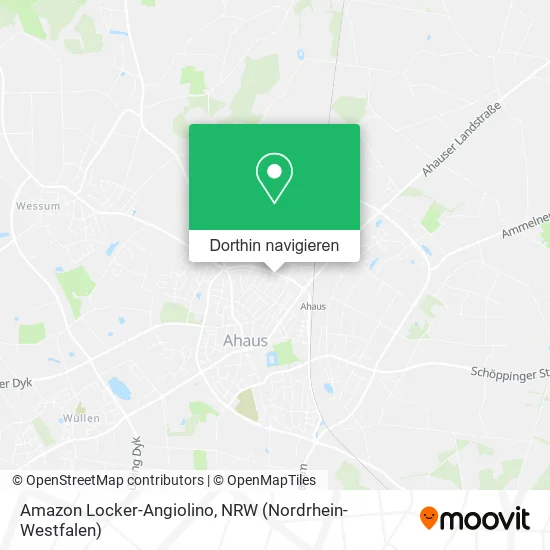 Amazon Locker-Angiolino Karte