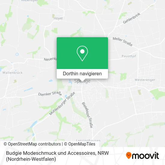 Budgie Modeschmuck und Accessoires Karte