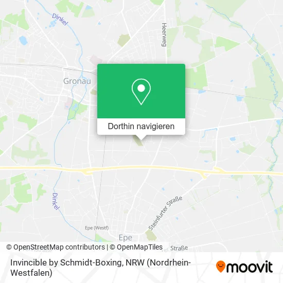 Invincible by Schmidt-Boxing Karte