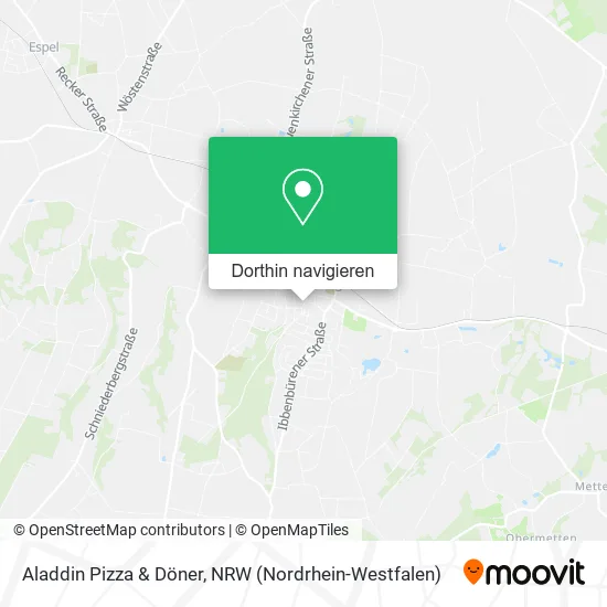 Aladdin Pizza & Döner Karte