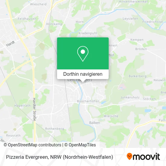 Pizzeria Evergreen Karte