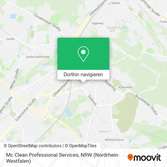 Mc Clean Professional Services Karte