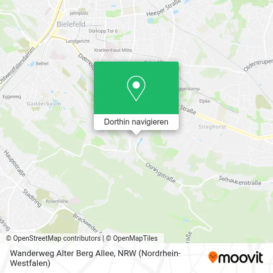 Wanderweg Alter Berg Allee Karte