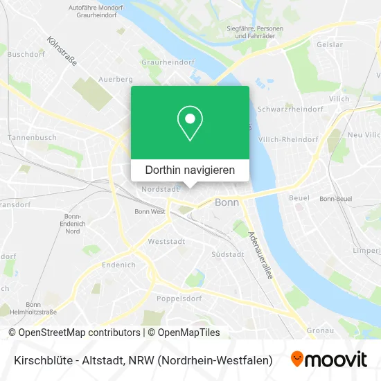 Kirschblüte - Altstadt Karte