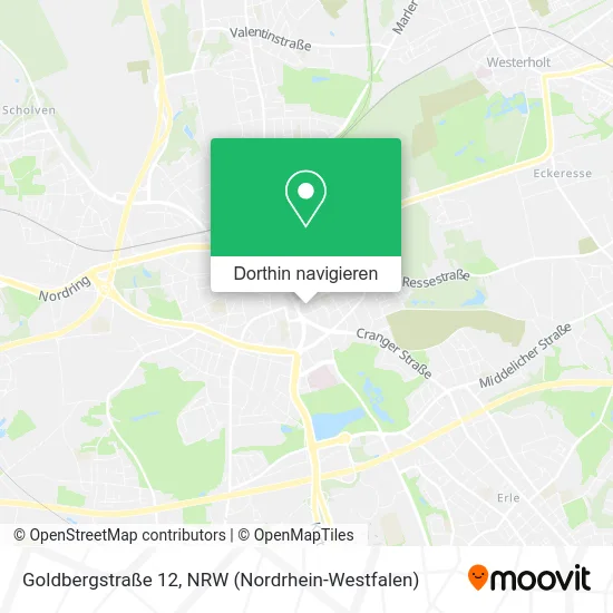 Goldbergstraße 12 Karte