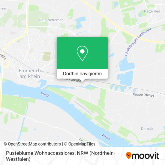 Pusteblume Wohnaccessiores Karte