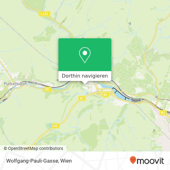 Wolfgang-Pauli-Gasse Karte
