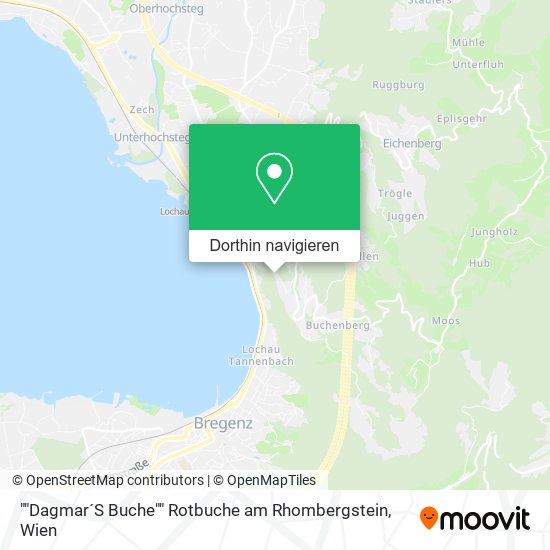 ""Dagmar´S Buche"" Rotbuche am Rhombergstein Karte