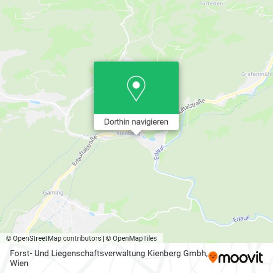 Forst- Und Liegenschaftsverwaltung Kienberg Gmbh Karte