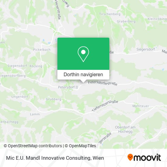 Mic E.U. Mandl Innovative Consulting Karte