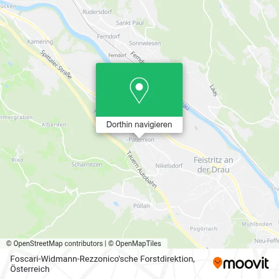 Foscari-Widmann-Rezzonico'sche Forstdirektion Karte