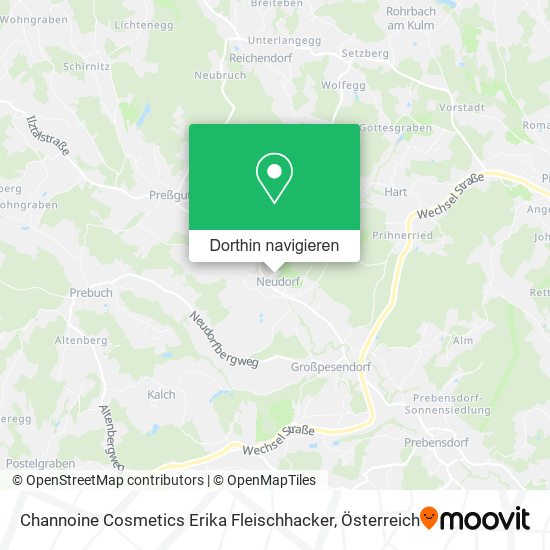 Channoine Cosmetics Erika Fleischhacker Karte