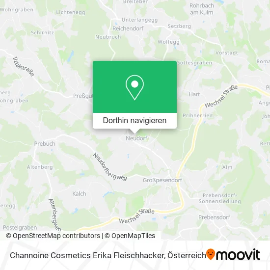 Channoine Cosmetics Erika Fleischhacker Karte