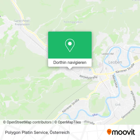 Polygon Platin Service Karte