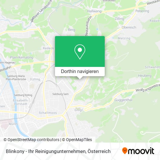 Blinkony - Ihr Reinigungunternehmen Karte