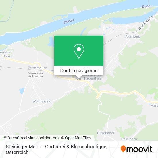 Steininger Mario - Gärtnerei & Blumenboutique Karte