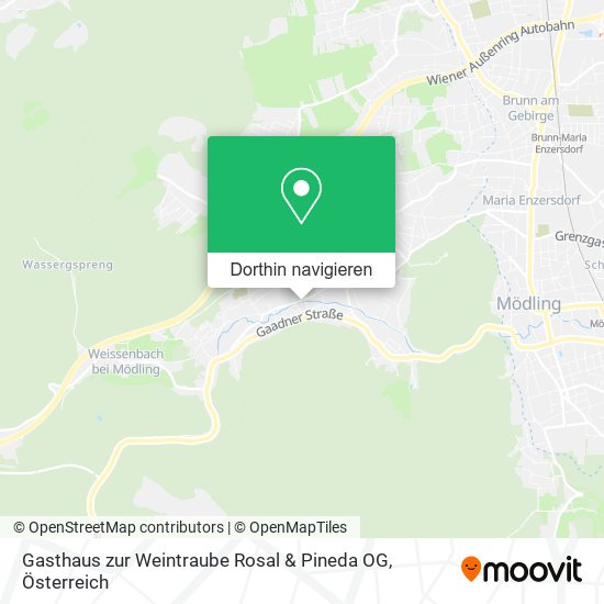 Gasthaus zur Weintraube Rosal & Pineda OG Karte