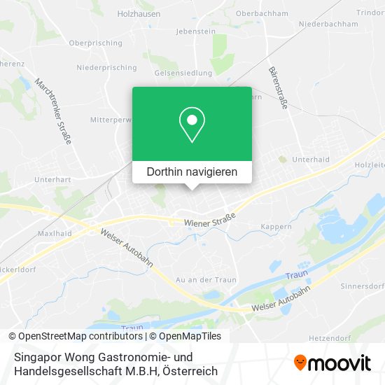 Singapor Wong Gastronomie- und Handelsgesellschaft M.B.H Karte