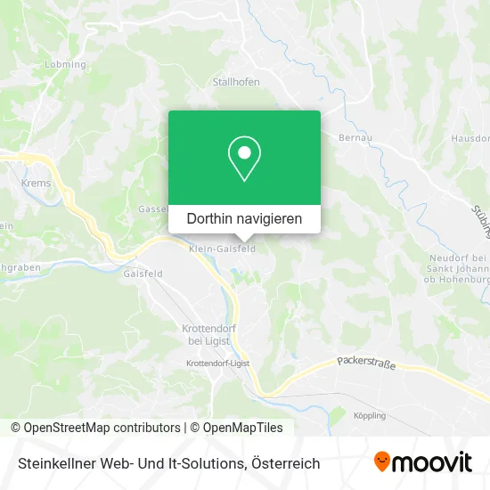 Steinkellner Web- Und It-Solutions Karte