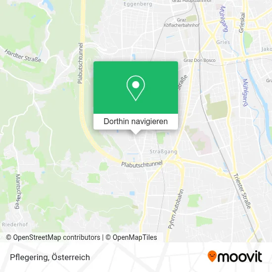 Pflegering Karte