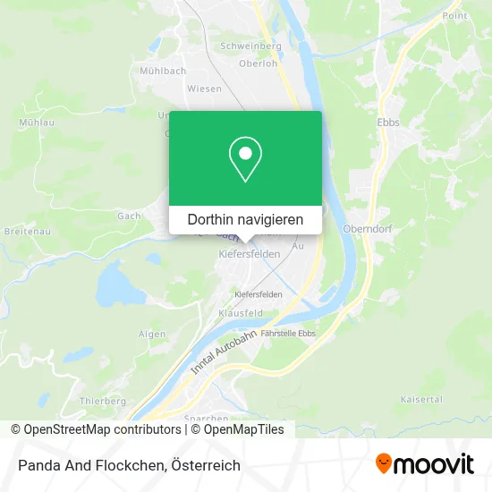Panda And Flockchen Karte