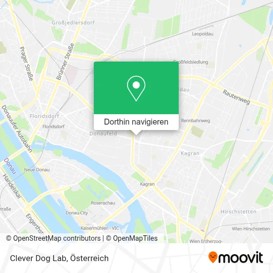 Clever Dog Lab Karte