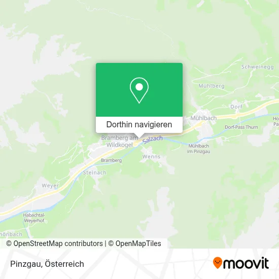 Pinzgau Karte