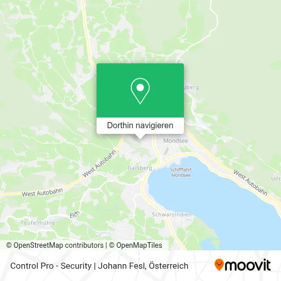 Control Pro - Security | Johann Fesl Karte