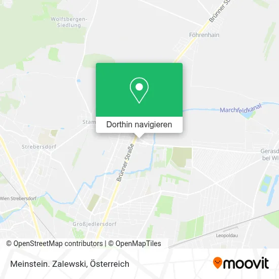 Meinstein. Zalewski Karte