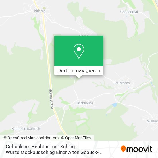 Gebück am Bechtheimer Schlag - Wurzelstockausschlag Einer Alten Gebück-Hainbuche Karte