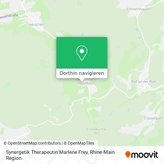 Synergetik Therapeutin Marlene Frey Karte