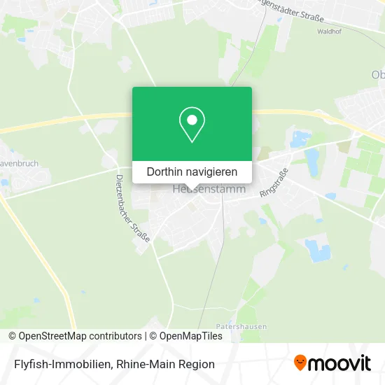 Flyfish-Immobilien Karte
