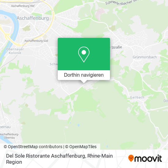 Del Sole Ristorante Aschaffenburg Karte