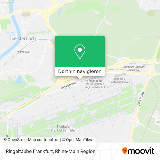 Ringeltaube Frankfurt Karte