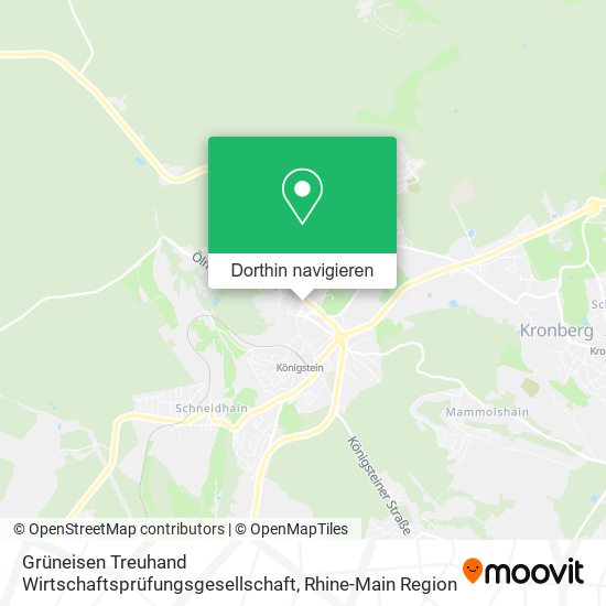 Grüneisen Treuhand Wirtschaftsprüfungsgesellschaft Karte