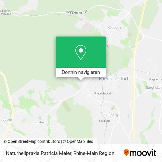 Naturheilpraxis Patricia Meier Karte