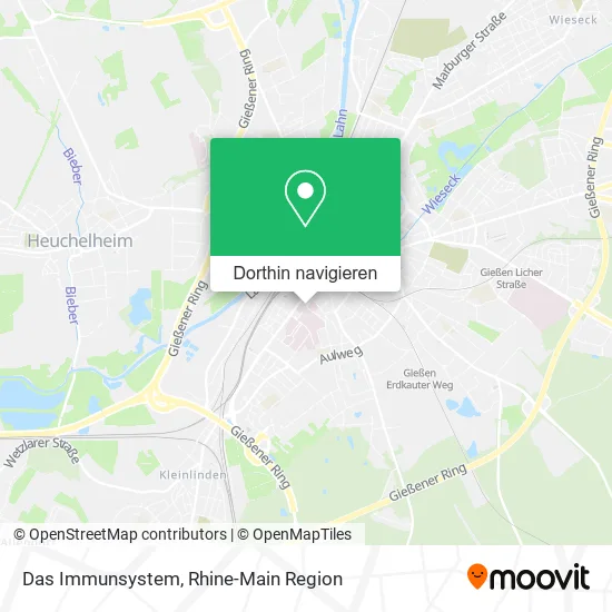 Das Immunsystem Karte