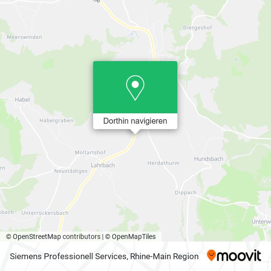 Siemens Professionell Services Karte