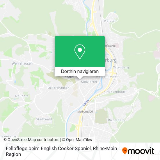 Fellpflege beim English Cocker Spaniel Karte