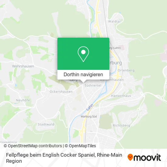 Fellpflege beim English Cocker Spaniel Karte