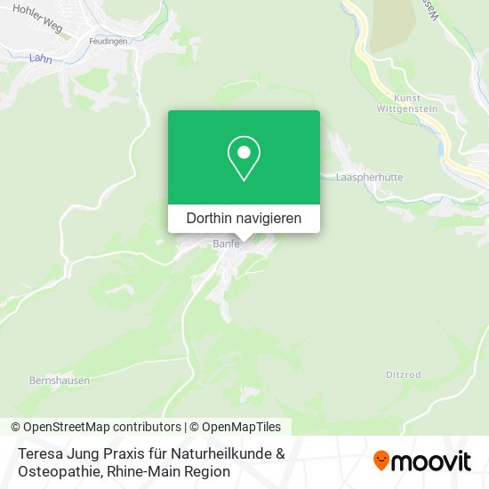 Teresa Jung Praxis für Naturheilkunde & Osteopathie Karte
