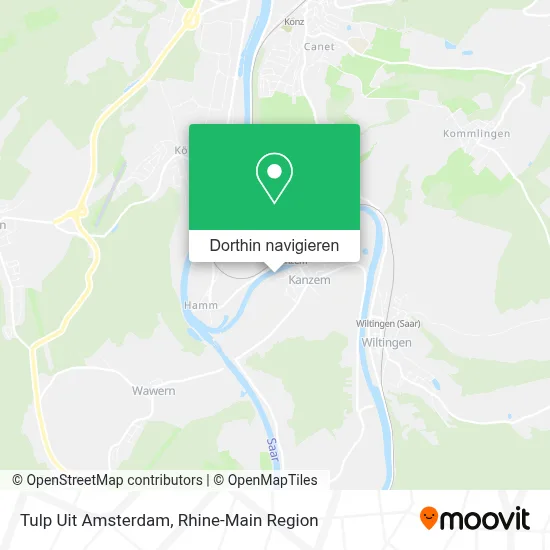 Tulp Uit Amsterdam Karte