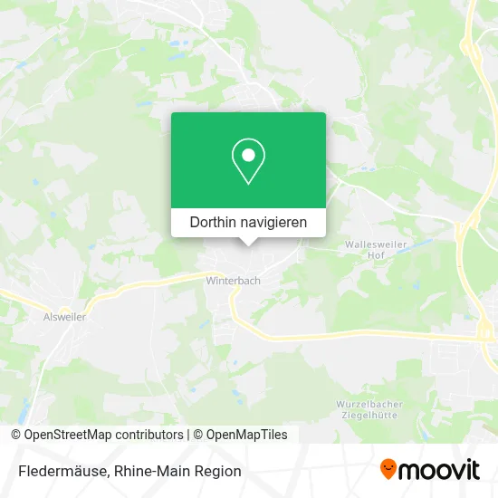 Fledermäuse Karte