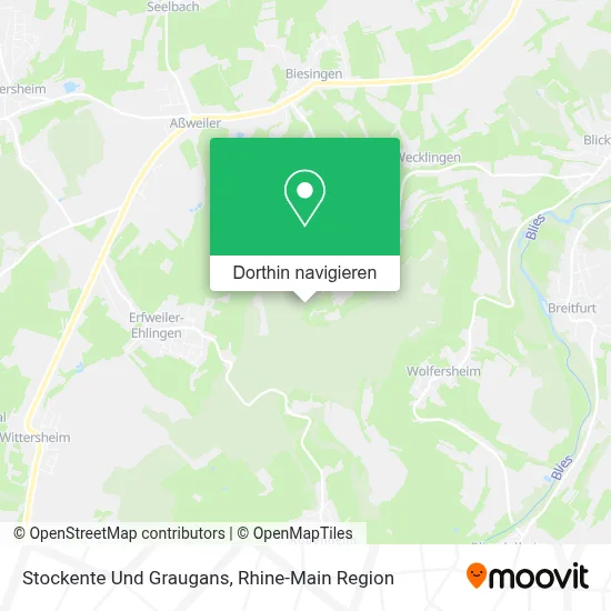 Stockente Und Graugans Karte