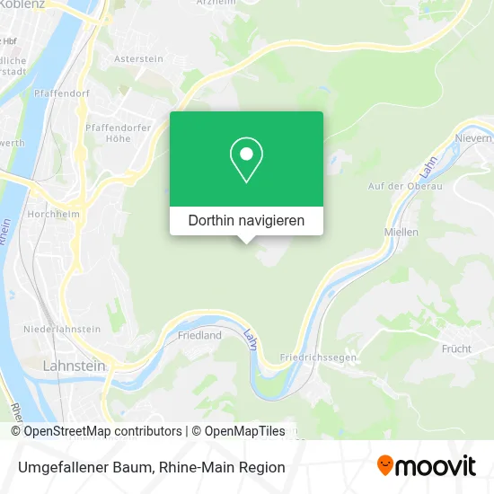 Umgefallener Baum Karte