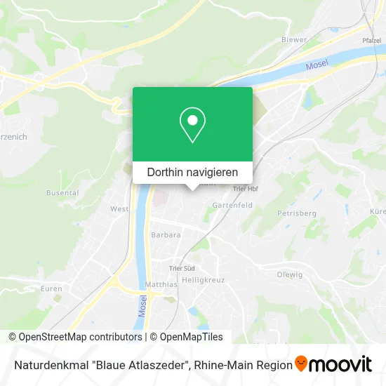 Naturdenkmal "Blaue Atlaszeder" Karte