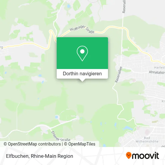 Elfbuchen Karte